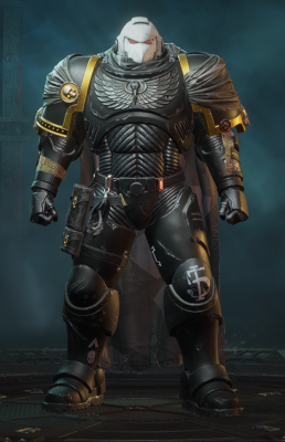 2nd company Raven guard